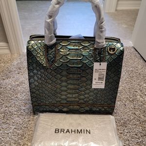 Brahmin Caroline and